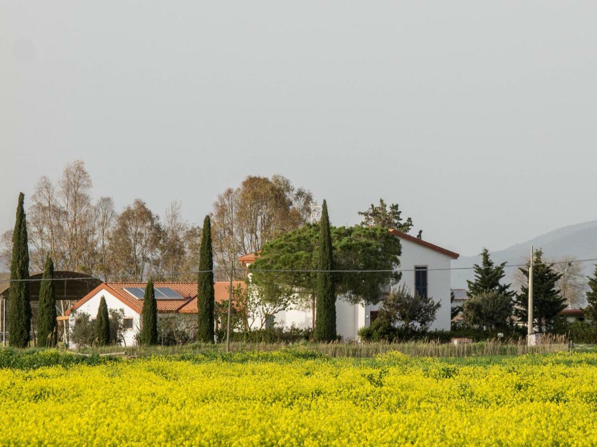 B&B Podere684 그레세토 외부 사진